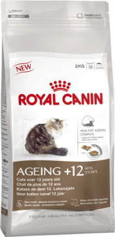 Senior Ageing 12+